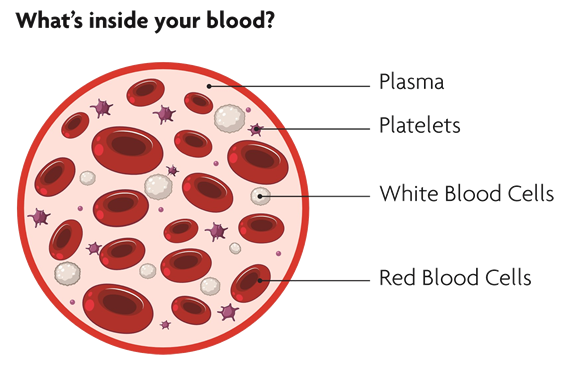 Sickle Cell Disease | Sickle Cell Association